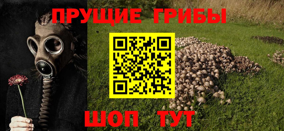 где можно купить наркотик  Галлюциногенные грибы Psilocybe  Вход с VPN  Рязань 